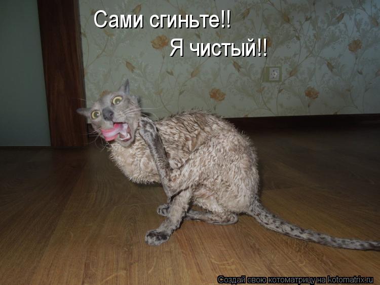 Котоматрица: Сами сгиньте!! Я чистый!!