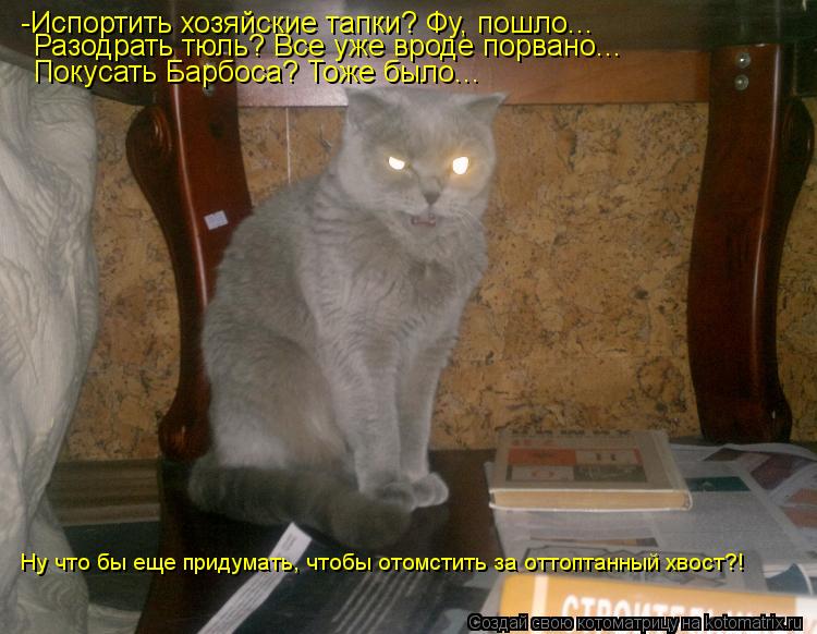Котоматрица: -Испортить хозяйские тапки? Фу, пошло... Разодрать тюль? Все уже вроде порвано... Покусать Барбоса? Тоже было... Ну что бы еще придумать, чтобы о