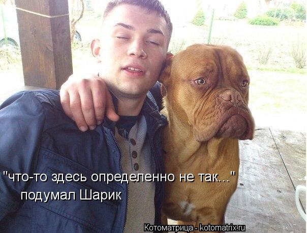 "что-то здесь определенно не так..." подумал Шарик... Котоматрица: "что-то здесь определенно не так..." подумал Шарик