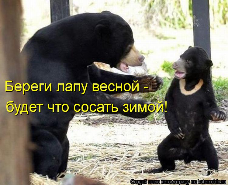 Береги лапу весной - будет что сосать зимой!... Котоматрица: Береги лапу весной - будет что сосать зимой!