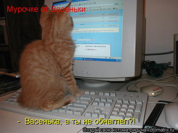 Котоматрица: Мурочке от Васеньки   -  Васенька, а ты не обнаглел?!