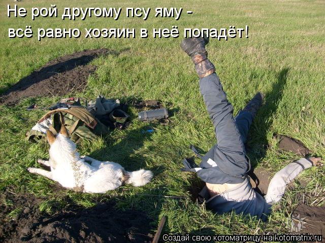 Котоматрица: Не рой другому псу яму -  всё равно хозяин в неё попадёт!