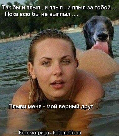 Котоматрица: Пока всю бы не выплыл .... Плыви меня - мой верный друг ... Так бы и плыл , и плыл , и плыл за тобой ...