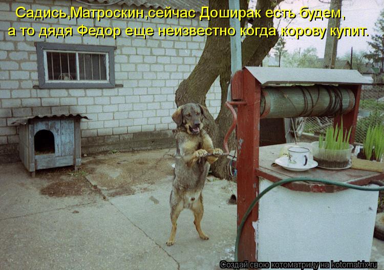 Котоматрица: Садись,Матроскин,сейчас Доширак есть будем, а то дядя Федор еще неизвестно когда корову купит.