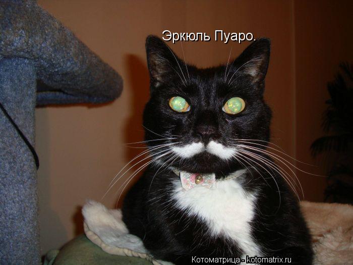 Котоматрица: Эркюль Пуаро.