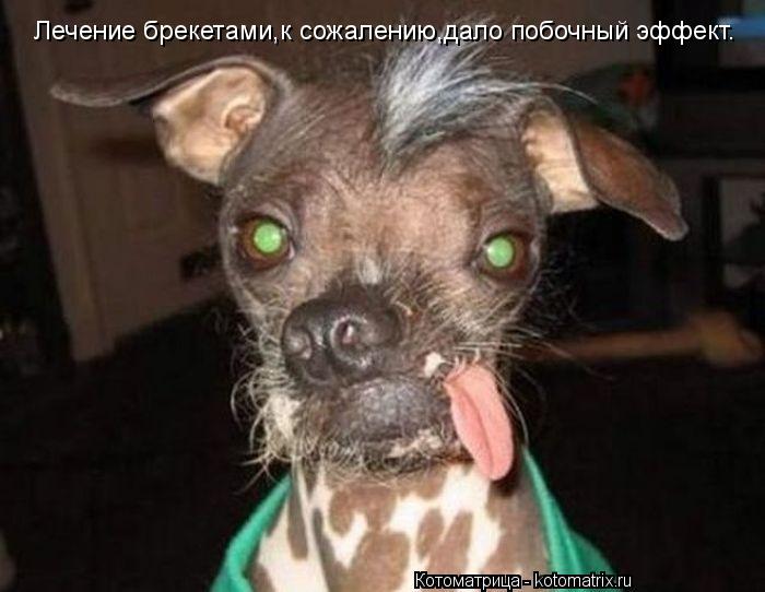 Котоматрица: Лечение брекетами,к сожалению,дало побочный эффект.