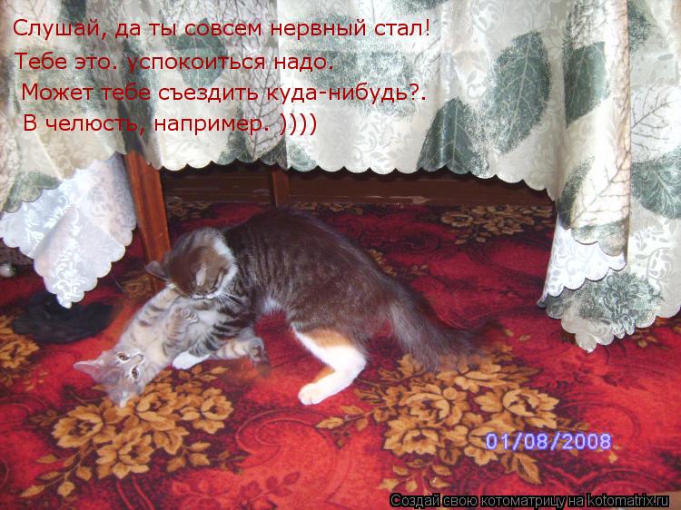 Котоматрица: Слушай, да ты совсем нервный стал!   Тебе это… успокоиться надо.  Может тебе съездить куда-нибудь?…   В челюсть, например… ))))