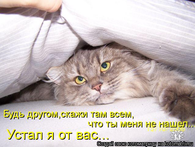 Котоматрица: Будь другом,скажи там всем,  что ты меня не нашел... Устал я от вас...