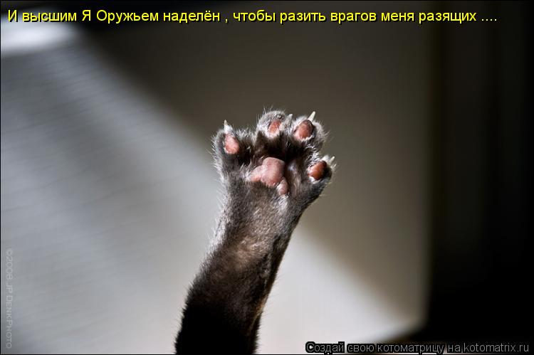 Котоматрица: И высшим Я Оружьем наделён , чтобы разить врагов меня разящих ....