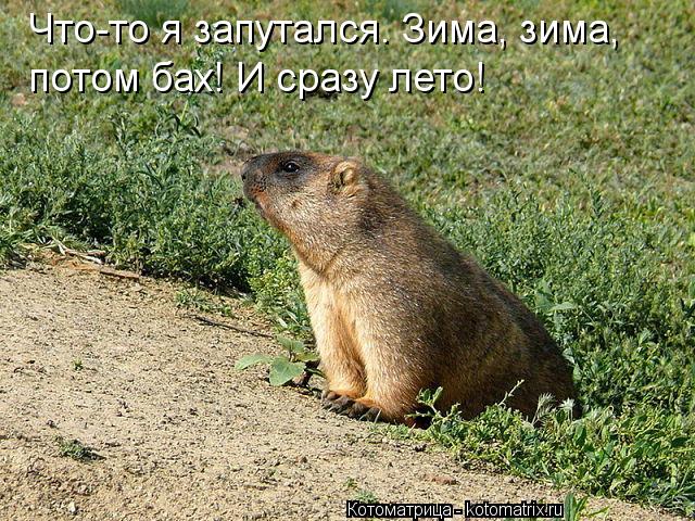 Котоматрица: Что-то я запутался. Зима, зима,  потом бах! И сразу лето!