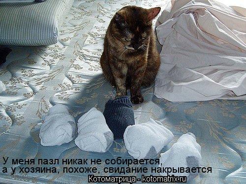 Котоматрица: У меня пазл никак не собирается, а у хозяина, похоже, свидание накрывается