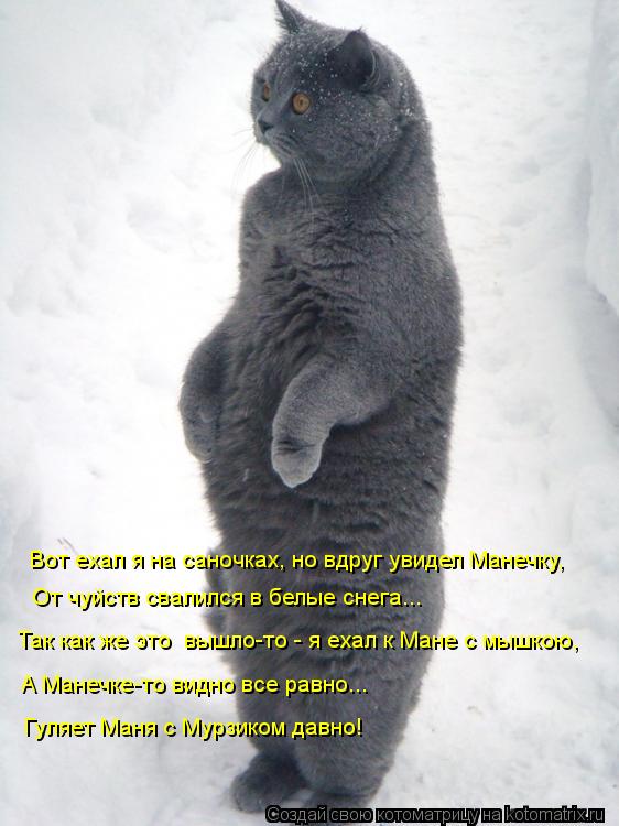 Котоматрица: Вот ехал я на саночках, но вдруг увидел Манечку, От чуйств свалился в белые снега... Так как же это  вышло-то - я ехал к Мане с мышкою, А Манечке-