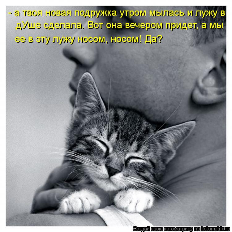 - а твоя новая подружка утром мылась и лужу в дУше сделала. Вот она вечером придет, а мы ее в эту л... Котоматрица: - а твоя новая подружка утром мылась и лужу в дУше сделала. Вот она вечером придет, а мы ее в эту лужу носом, носом! Да?
