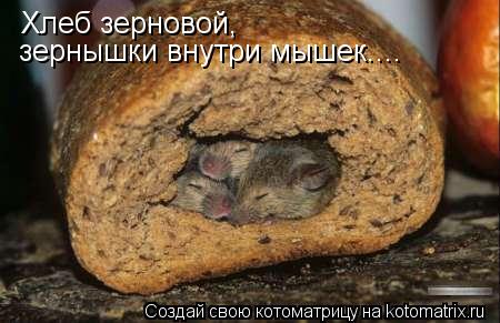 Котоматрица: Хлеб зерновой, зернышки внутри мышек....