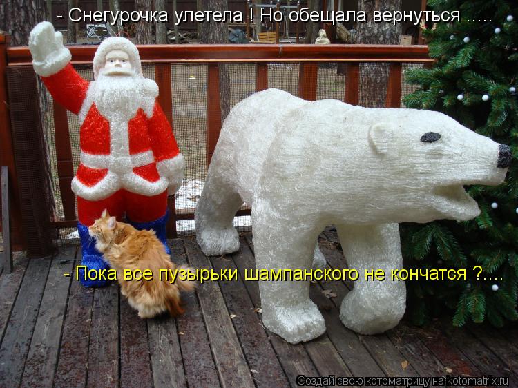 Котоматрица: - Снегурочка улетела ! Но обещала вернуться ..... - Пока все пузырьки шампанского не кончатся ?....