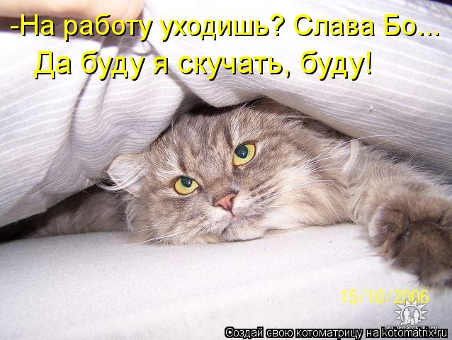 Котоматрица: -На работу уходишь? Слава Бо... Да буду я скучать, буду!