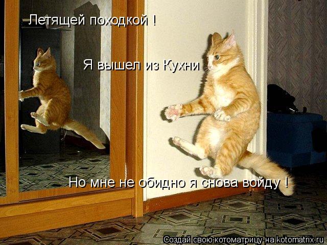 Котоматрица: Летящей походкой ! Я вышел из Кухни  Но мне не обидно я снова войду !