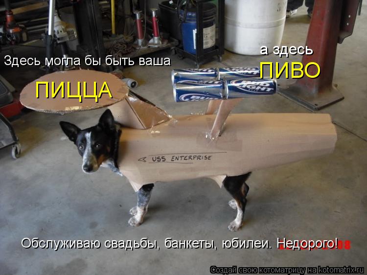 Котоматрица: ПИЦЦА Здесь могла бы быть ваша ПИВО а здесь Обслуживаю свадьбы, банкеты, юбилеи. Недорого!