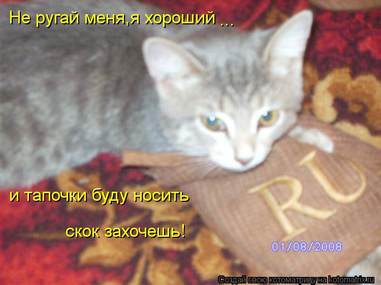 Котоматрица: Не ругай меня,я хороший и тапочки буду носить скок захочешь! ...