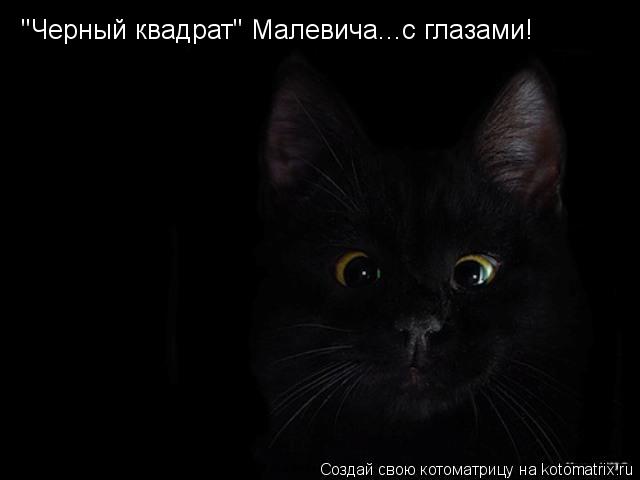 Котоматрица: "Черный квадрат" Малевича...с глазами!