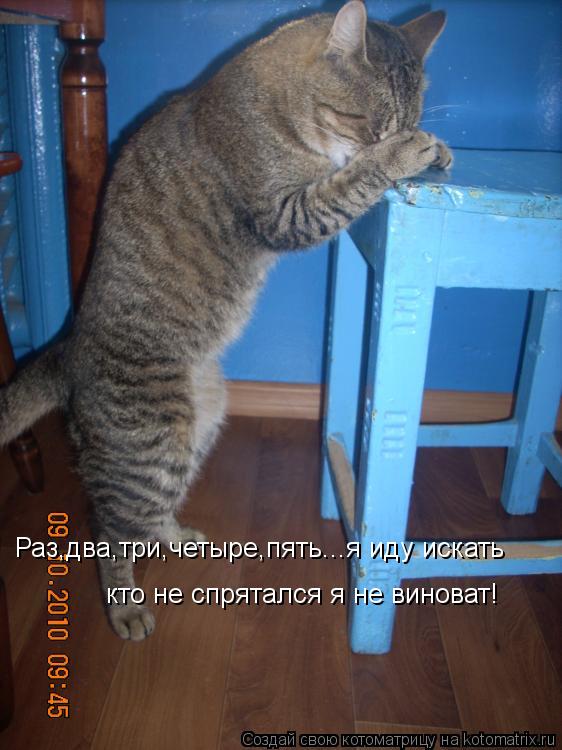 Котоматрица: Раз,два,три,четыре,пять...я иду искать кто не спрятался я не виноват!