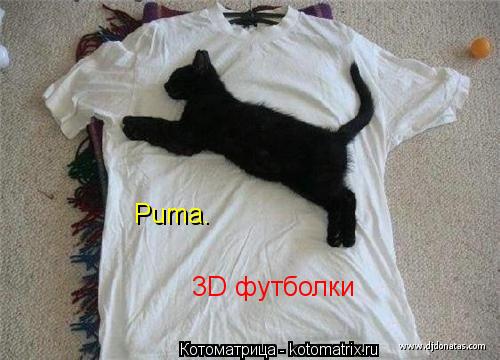 Котоматрица: Puma. 3D футболки