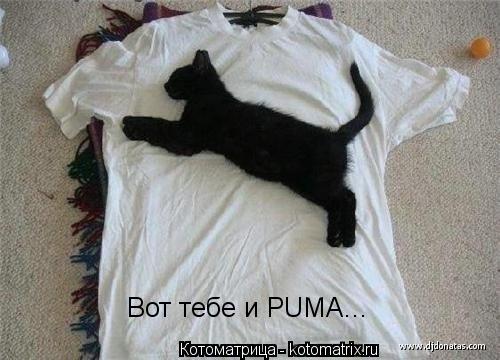 Котоматрица: Вот тебе и PUMA...