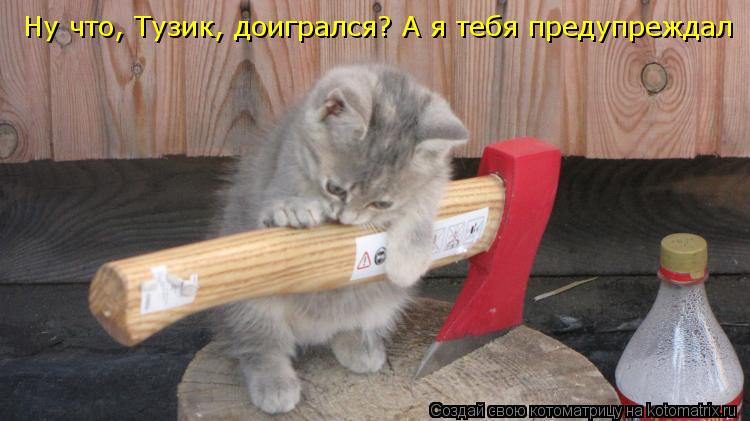 Котоматрица: Ну что, Тузик, доигрался? А я тебя предупреждал