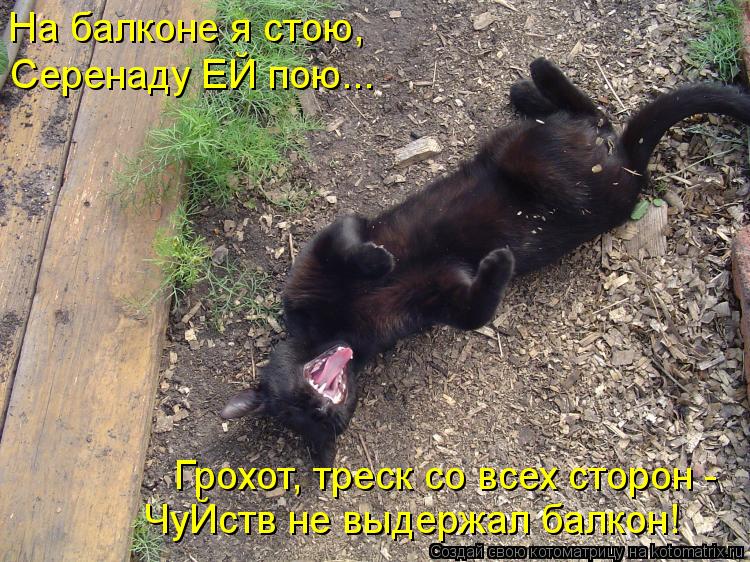 Серенаду ЕЙ пою... Грохот, треск со всех сторон - ЧуЙств не выдержал балкон! На балконе я стою,... Котоматрица: Серенаду ЕЙ пою... Грохот, треск со всех сторон - ЧуЙств не выдержал балкон! На балконе я стою,