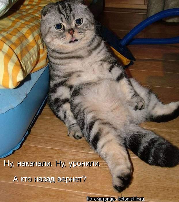 Котоматрица: Ну, накачали. Ну, уронили. А кто назад вернет?