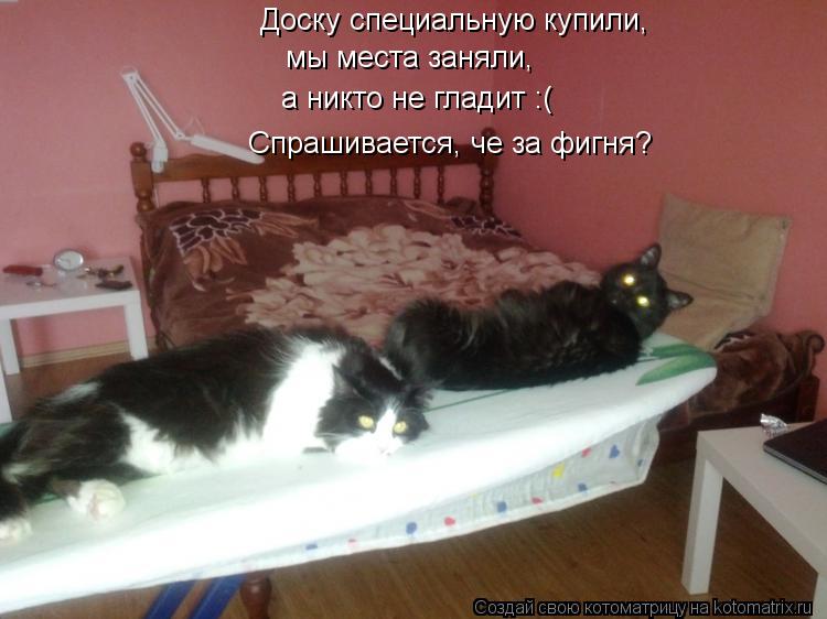 Котоматрица: Доску специальную купили, мы места заняли, а никто не гладит :( Спрашивается, че за фигня?