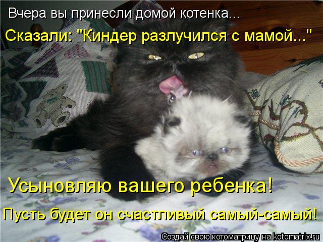 Вчера вы принесли домой котенка... Усыновляю вашего ребенка! Пусть будет он счастливый самый-самый! С... Котоматрица: Вчера вы принесли домой котенка... Усыновляю вашего ребенка! Пусть будет он счастливый самый-самый! Сказали: "Киндер разлучился с мамой..."