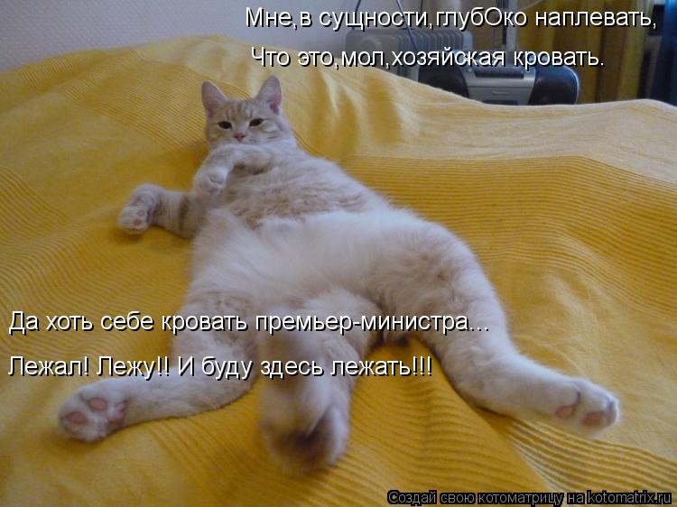 Мне,в сущности,глубОко наплевать, Что это,мол,хозяйская кровать. Да хоть себе кровать премьер-министр... Котоматрица: Мне,в сущности,глубОко наплевать, Что это,мол,хозяйская кровать. Да хоть себе кровать премьер-министра... Лежал! Лежу!! И буду здесь лежать!!!