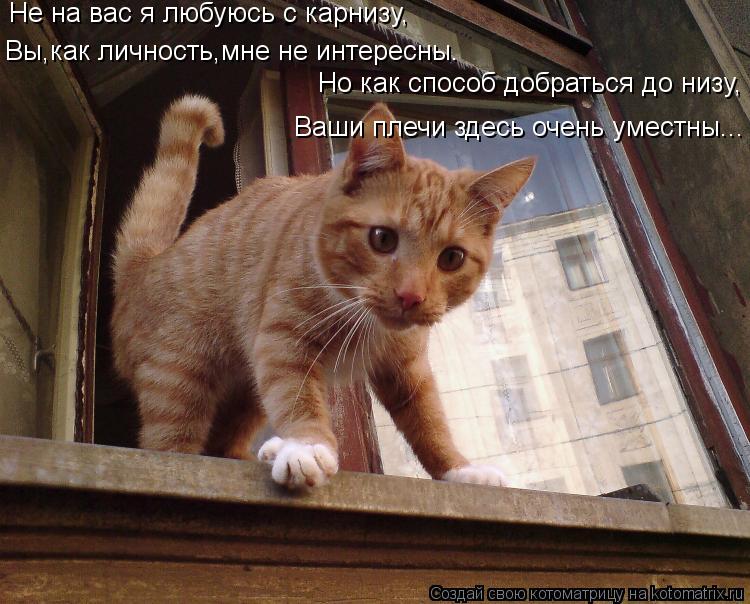 Не на вас я любуюсь с карнизу, Вы,как личность,мне не интересны. Но как способ добраться до низу, Ваш... Котоматрица: Не на вас я любуюсь с карнизу, Вы,как личность,мне не интересны. Но как способ добраться до низу, Ваши плечи здесь очень уместны...