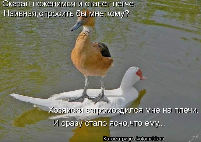 Сказал:поженимся и станет легче. Наивная,спросить бы мне:кому? Хозяиски взгромоздился мне на плечи. И... Котоматрица: Сказал:поженимся и станет легче. Наивная,спросить бы мне:кому? Хозяиски взгромоздился мне на плечи. И сразу стало ясно,что ему...