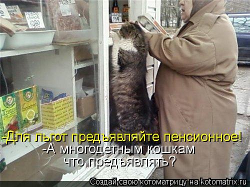 -Для льгот предъявляйте пенсионное! -А многодетным кошкам что предъявлять?... Котоматрица: -Для льгот предъявляйте пенсионное! -А многодетным кошкам что предъявлять?