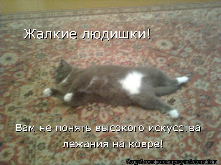 Жалкие людишки! Вам не понять высокого искусства лежания на ковре!... Котоматрица: Жалкие людишки! Вам не понять высокого искусства лежания на ковре!