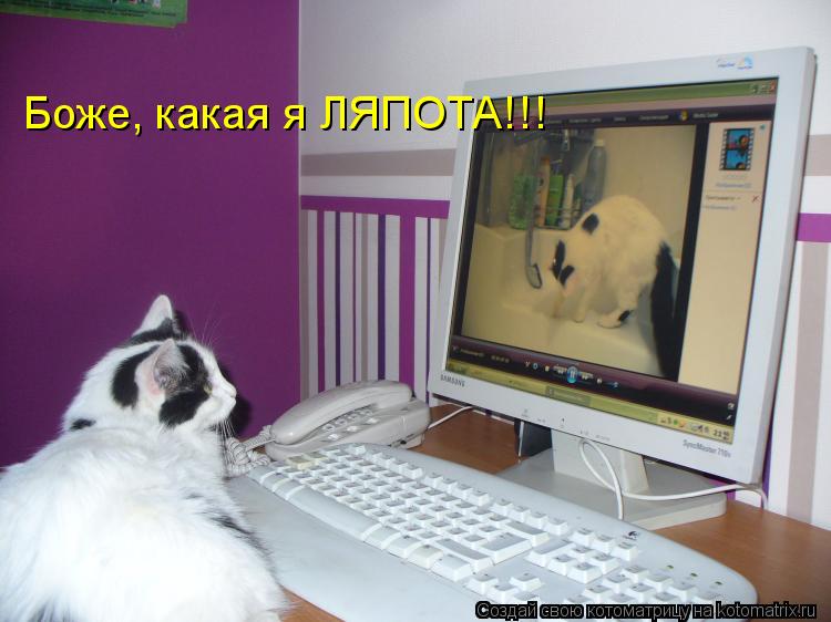 Боже, какая я ЛЯПОТА!!!... Котоматрица: Боже, какая я ЛЯПОТА!!!