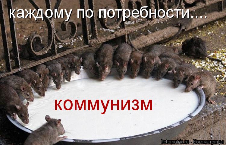 коммунизм каждому по потребности....... Котоматрица: коммунизм каждому по потребности....