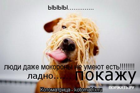 ыыыы.............. люди даже мокороны не умеют есть!!!!!!!! ладно...... покажу... Котоматрица: ыыыы.............. люди даже мокороны не умеют есть!!!!!!!! ладно...... покажу