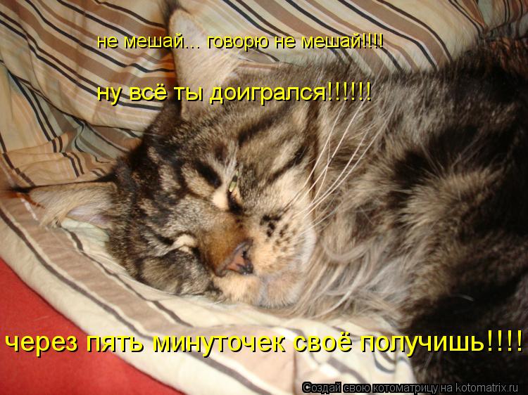 не мешай... говорю не мешай!!!! ну всё ты доигрался!!!!!! через пять минуточек своё получишь!!!!... Котоматрица: не мешай... говорю не мешай!!!! ну всё ты доигрался!!!!!! через пять минуточек своё получишь!!!!