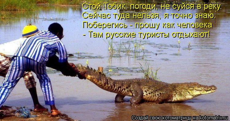 Стой Тобик, погоди, не суйся в реку. Сейчас туда нельзя, я точно знаю. Поберегись - прошу как челов... Котоматрица: Стой Тобик, погоди, не суйся в реку. Сейчас туда нельзя, я точно знаю. Поберегись - прошу как человека - Там русские туристы отдыхают!