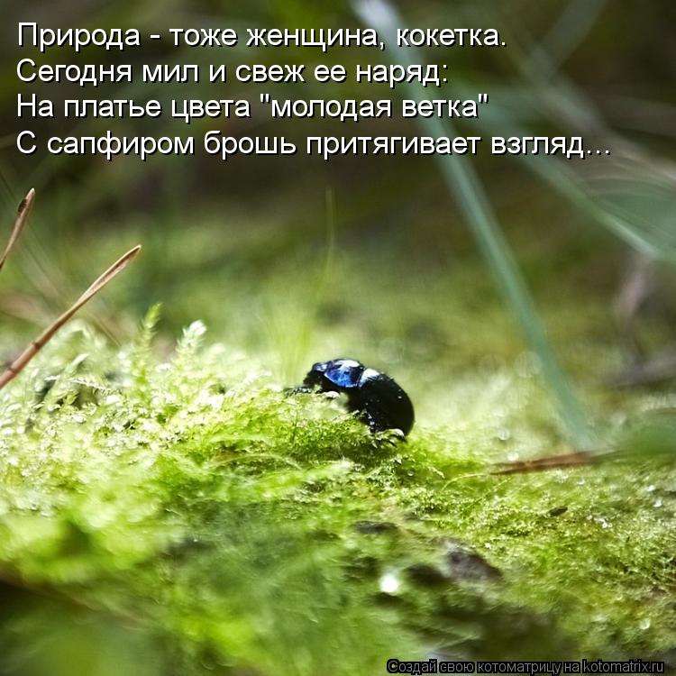 Природа - тоже женщина, кокетка. Сегодня мил и свеж ее наряд: На платье цвета "молодая ветка" С сапфи... Котоматрица: Природа - тоже женщина, кокетка. Сегодня мил и свеж ее наряд: На платье цвета "молодая ветка" С сапфиром брошь притягивает взгляд...