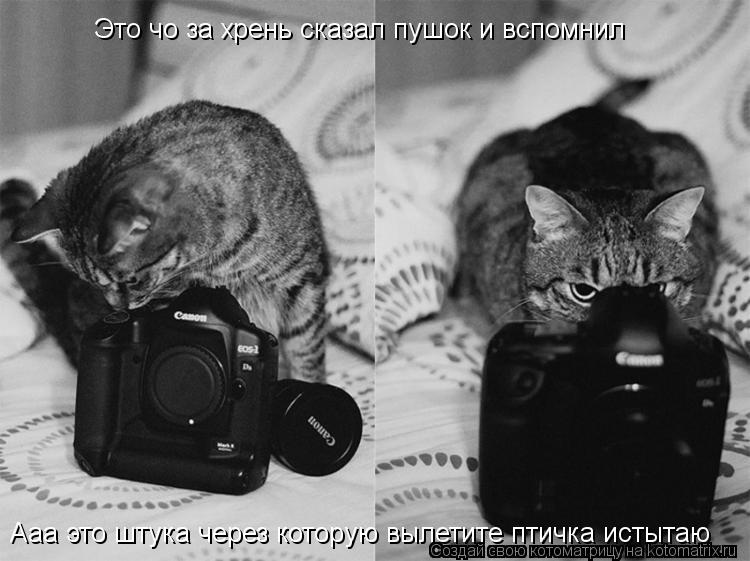 Ааа это штука Ааа это штука через которую вылетите птичка истытаю Это чо за хрень сказал пушок и всп... Котоматрица: Ааа это штука Ааа это штука через которую вылетите птичка истытаю Это чо за хрень сказал пушок и вспомнил
