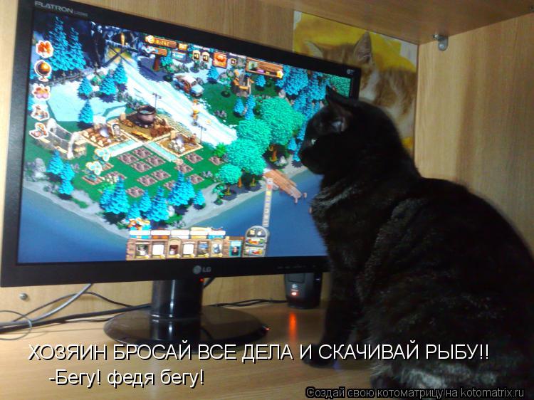 ХОЗЯИН БРОСАЙ ВСЕ ДЕЛА И СКАЧИВАЙ РЫБУ!! -Бегу! федя бегу!... Котоматрица: ХОЗЯИН БРОСАЙ ВСЕ ДЕЛА И СКАЧИВАЙ РЫБУ!! -Бегу! федя бегу!