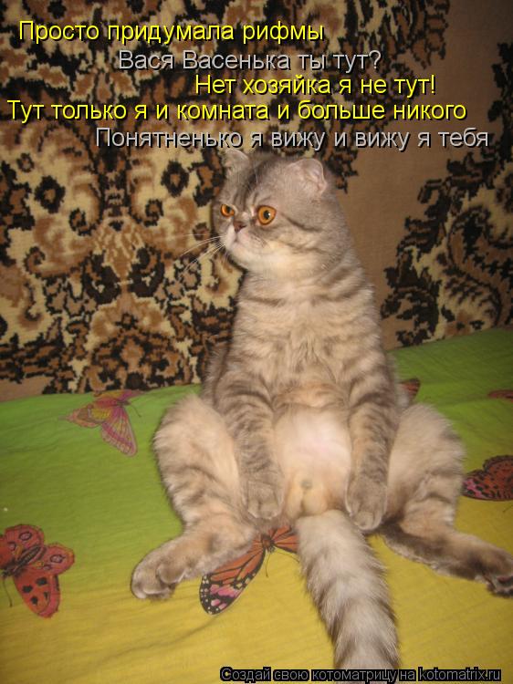 Котоматрица: Просто придумала рифмы Вася Васенька ты тут? Нет хозяйка я не тут! Тут только я и комната и больше никого Понятненько я вижу и вижу я тебя