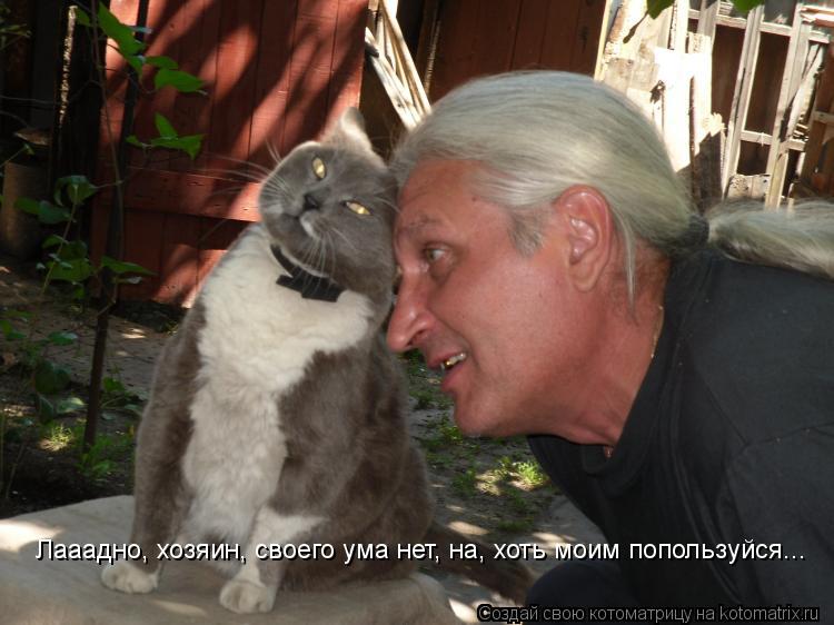 Котоматрица: Лааадно, хозяин, своего ума нет, на, хоть моим попользуйся...