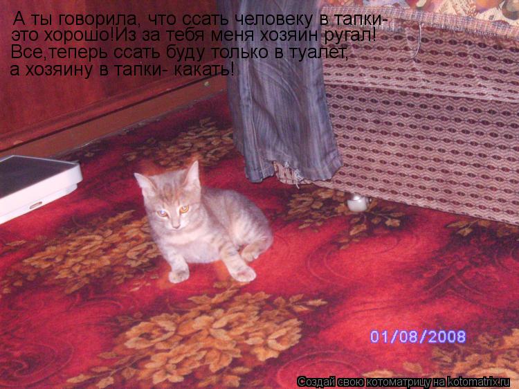 А ты говорила, что ссать человеку в тапки- это хорошо!Из за тебя меня хозяин ругал! Все,теперь ссать ... Котоматрица: А ты говорила, что ссать человеку в тапки- это хорошо!Из за тебя меня хозяин ругал! Все,теперь ссать буду только в туалет, а хозяину в тапки- к