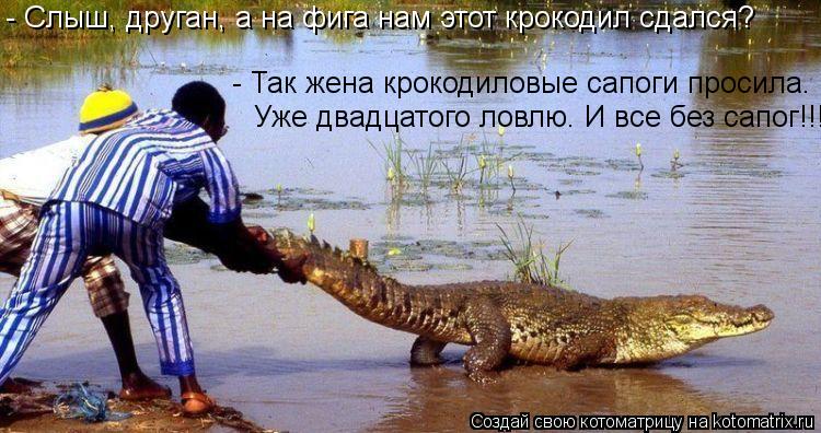 - Слыш, друган, а на фига нам этот крокодил сдался? - Так жена крокодиловые сапоги просила. Уже двадц... Котоматрица: - Слыш, друган, а на фига нам этот крокодил сдался? - Так жена крокодиловые сапоги просила. Уже двадцатого ловлю. И все без сапог!!!