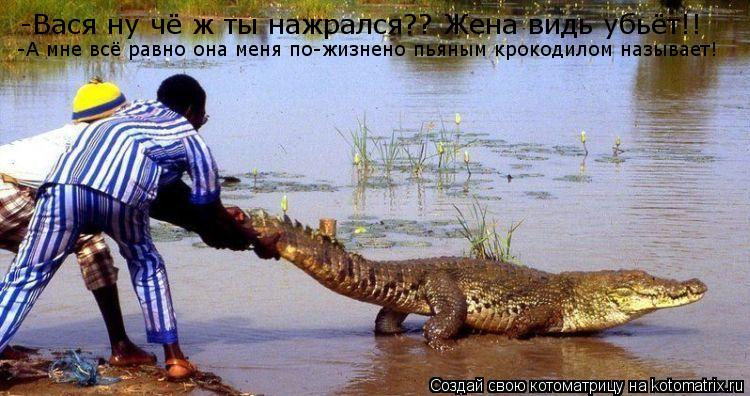 -Вася ну чё ж ты нажрался?? Жена видь убьёт!! -А мне всё равно она меня по-жизнено пьяным крокодилом ... Котоматрица: -Вася ну чё ж ты нажрался?? Жена видь убьёт!! -А мне всё равно она меня по-жизнено пьяным крокодилом называет!